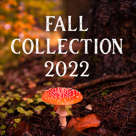 Fall Collection 2022